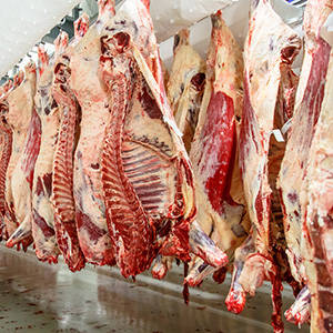 Wholesale Whole Beef Carcass