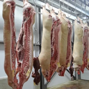 Frozen Pork Half Carcass